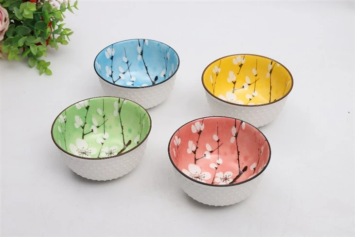 Colorful Ceramic Salad Bowl